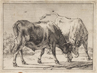 TvB G 2244
<br/>
Vechtende stieren
<br/>
<em>Potter, Paulus (1625-1654)</em>